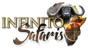 Infinito Safaris – Hunting Safari in Southern Africa